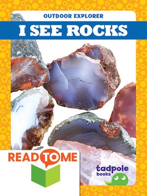 cover image of I See Rocks